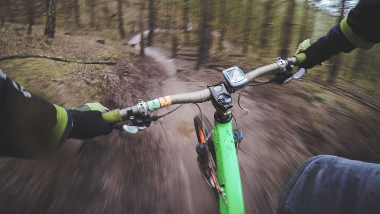 Tour en Bicicleta por la Plantación de Té Hanthana