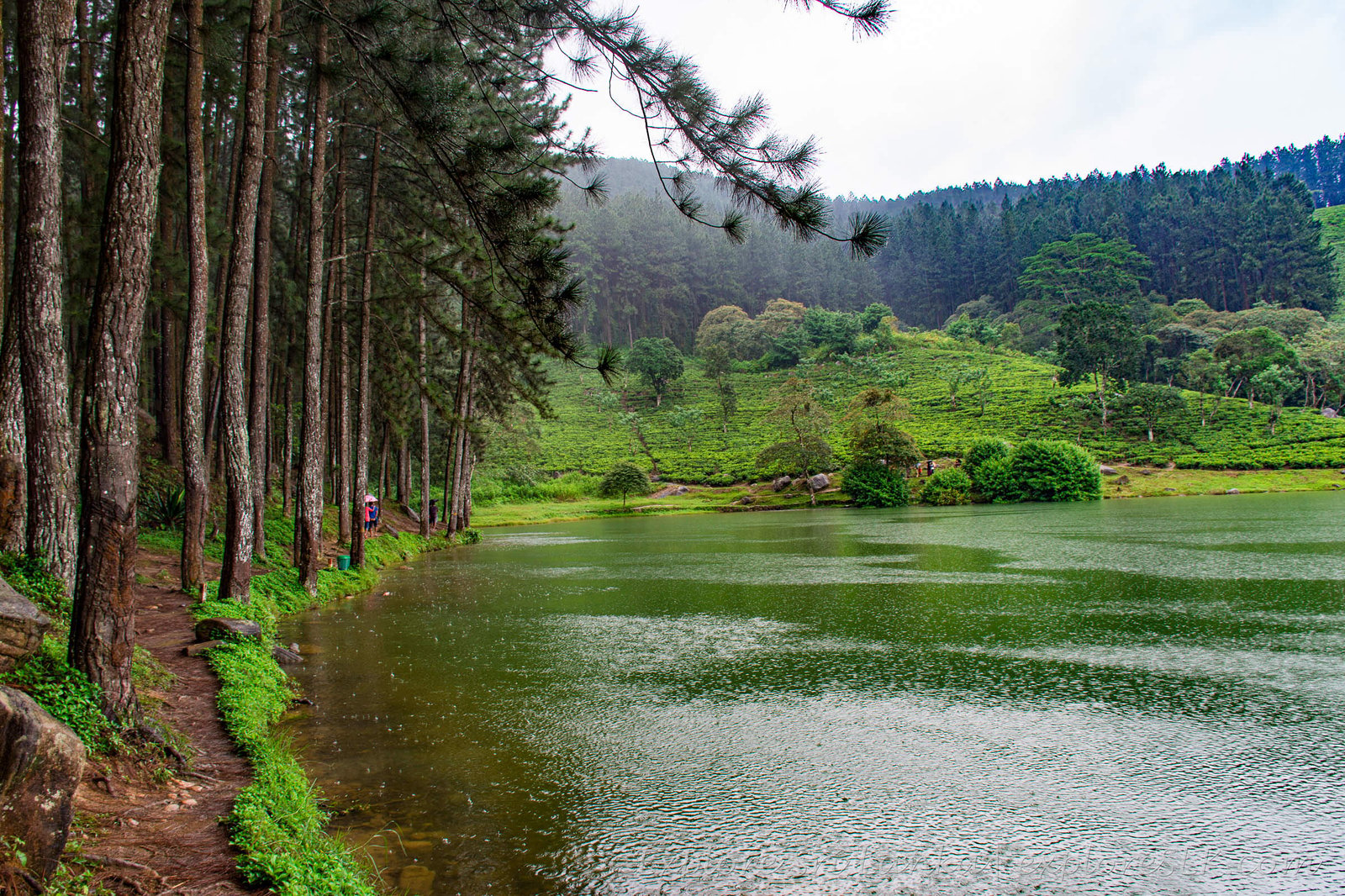 Sembuwatta Lake
