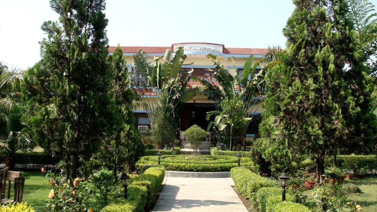 Way to Jungle Safari Resort
