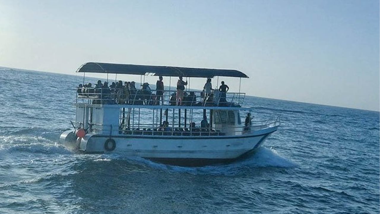 Wildlife Tour Covering Birds, Mammals and Whales (14 Days)