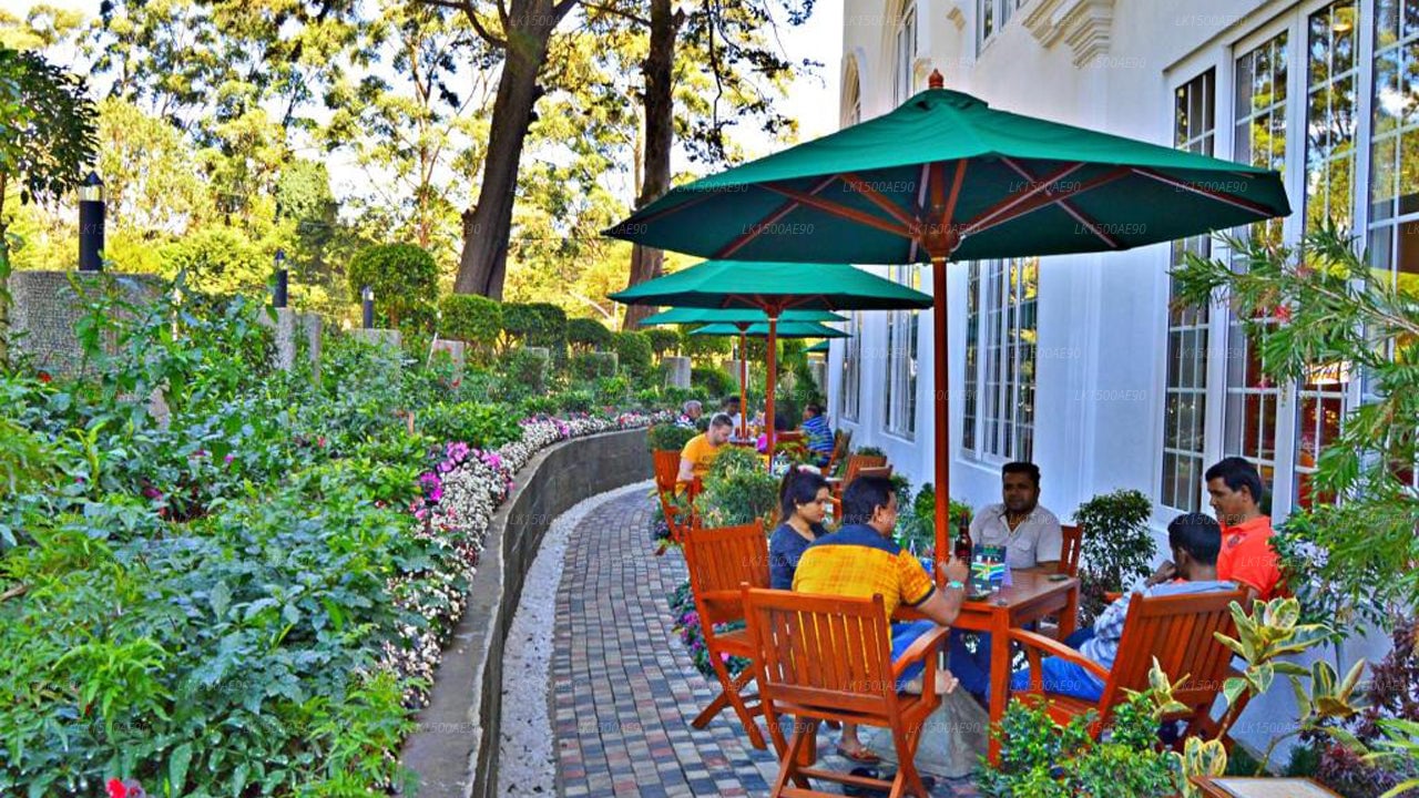 Araliya Green City Hotel