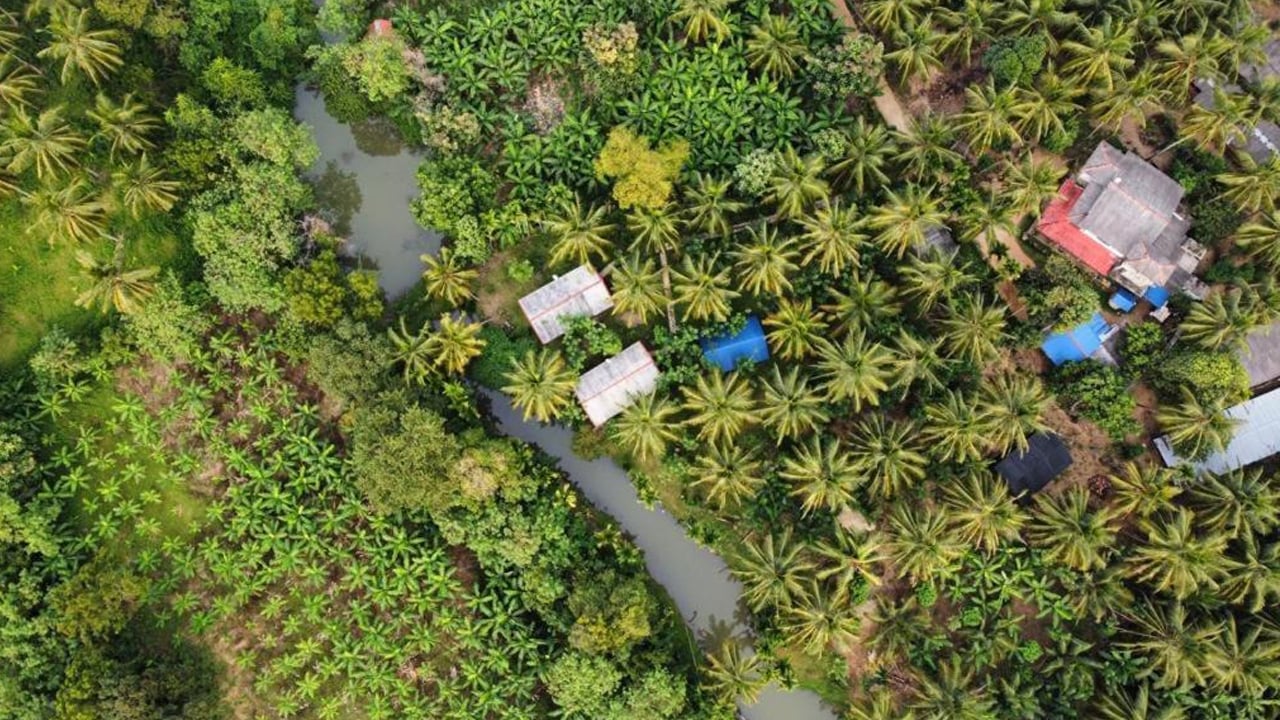 Wild Lake Side Holiday Resort