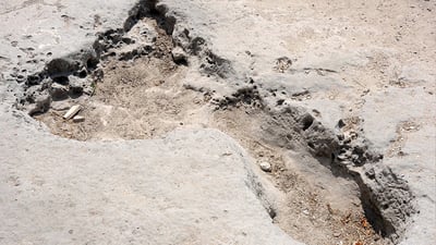 The Giant Footprint