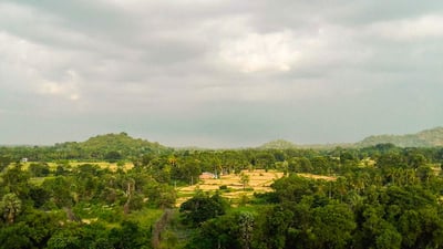 Minneriya Lake
