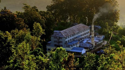Shawlands Tea Estate
