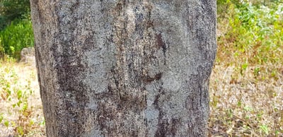 Sastrawela Mani Naga Pabbatha Viharaya