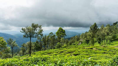 Mandaramnuwara