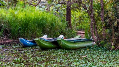 catamaran safari