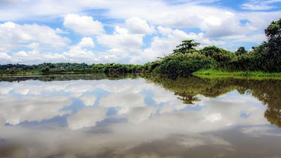 Nilwala River