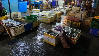 Negombo Fish Market