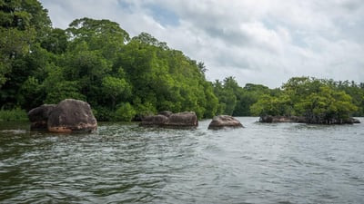 Bentota River