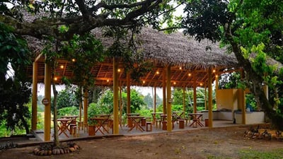 Midigama Fruit Farm