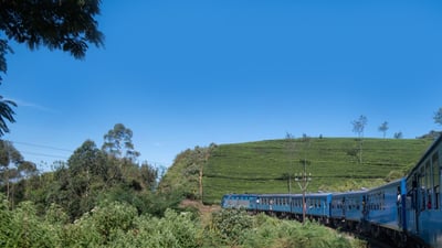 Nanu Oya Railway Station