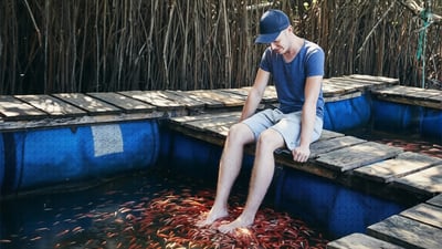 Fish Spa