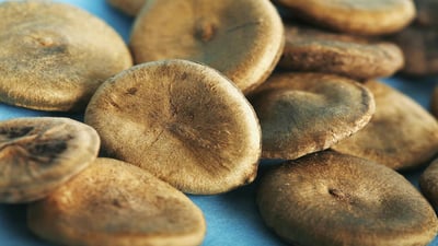 Strychnos nux-vomica