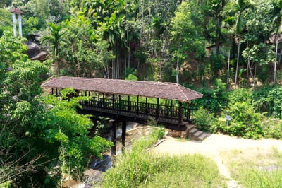 Bogoda Wooden Bridge