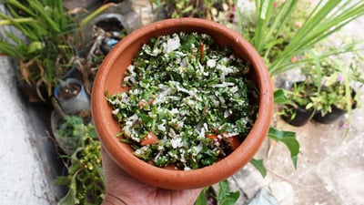 Gotu Kola Sambol