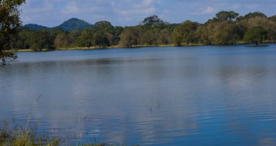 Minneriya Lake
