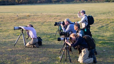 Photography Tours