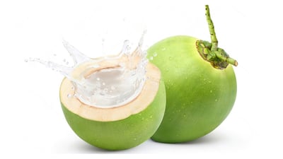 Cocos nucifera Lakpura