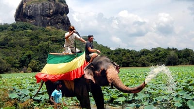 Elephant Riding Lakpura