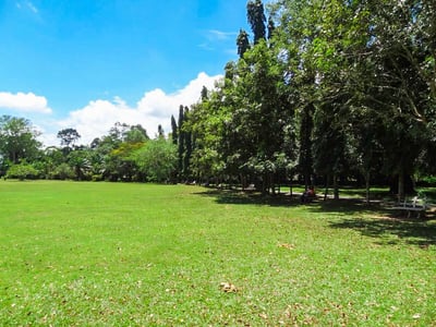 Henarathgoda Botanical Garden