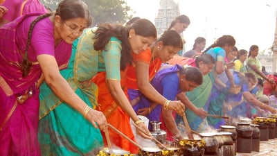 Thai Pongal