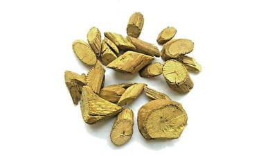 Coscinium Fenestratum