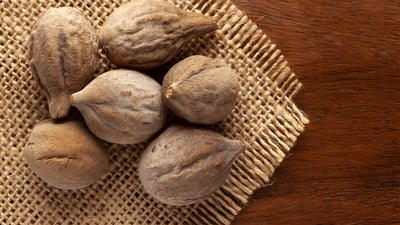 Terminalia bellirica (????)