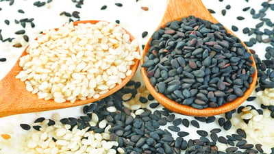 Sesamum indicum