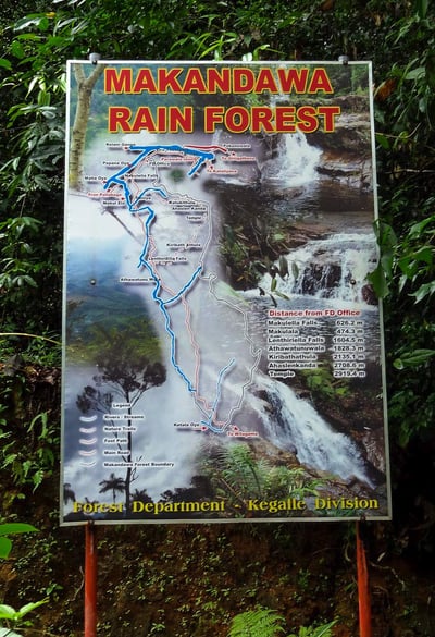Makandawa Rain Forest