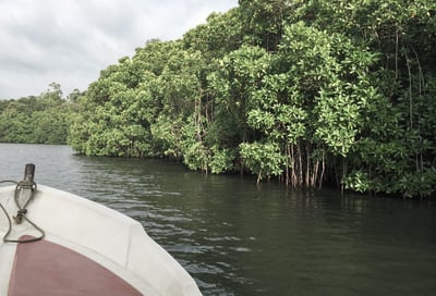 Koggala Lagoon