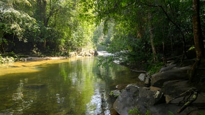 Biodiversity
