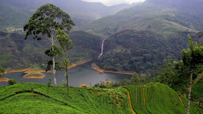 Maskeliya