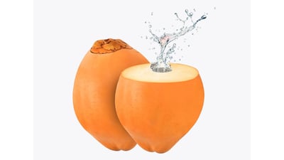 King Coconut Products