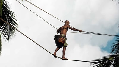 Toddy Tapping