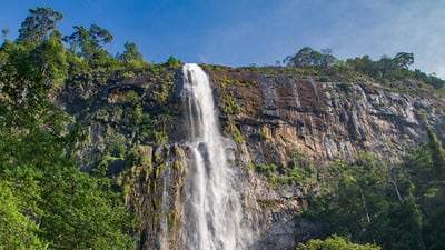 Wellawaya