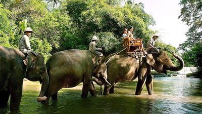 Elephant Riding