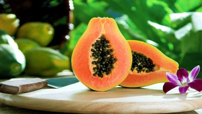 Carica papaya