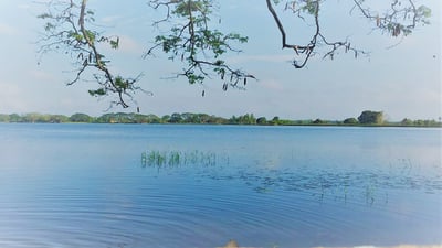 Basawakkulama Wewa