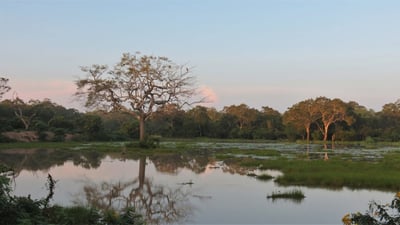 Hunuwilagama