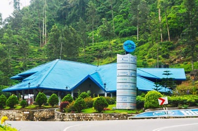 Blue Field Tea Factory