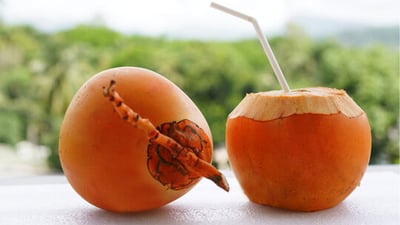 King Coconuts