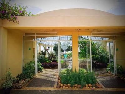 Dry Zone Botanic Gardens