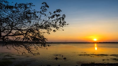 Basawakkulama Wewa