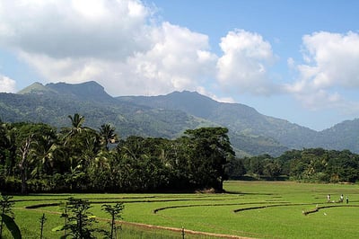 Embilipitiya