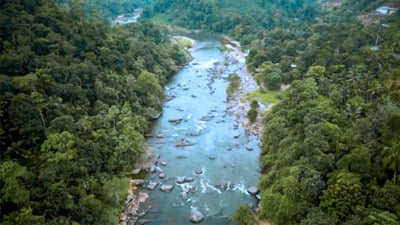 Kelani River