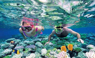 Coral Sanctuary
