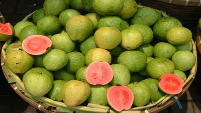 Guava