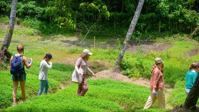 Midigama Fruit Farm